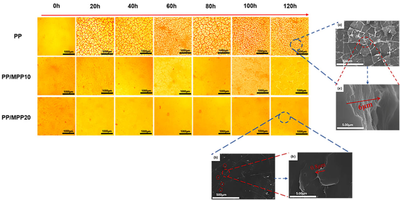 257-01-紫外光辐照过程中PP以及PPMPP表面裂纹变化