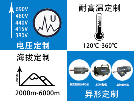 山东盛华高原变频电机定制