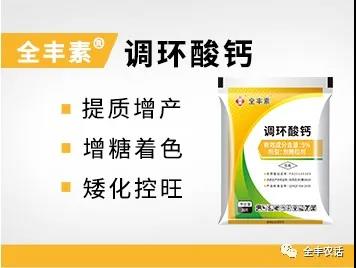 微信图片_20210406152715