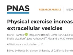 运动后“快乐感”真相！PNAS：血液酸化触发POMC与sEVs“精准对接”，革新激素转运与内分泌调控