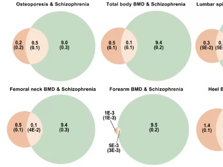 最新！Geno Psych：精神分裂症与骨质疏松竟共享 195 个风险位点